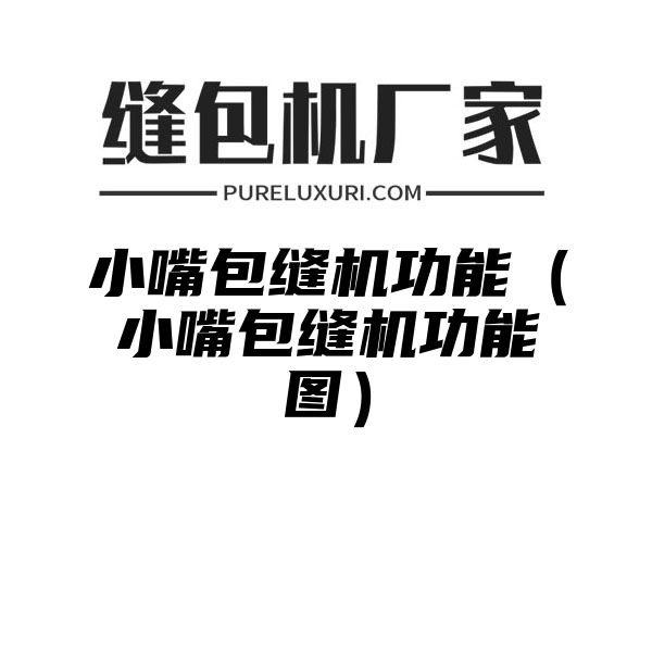 小嘴包缝机功能（小嘴包缝机功能图）